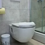 Siega