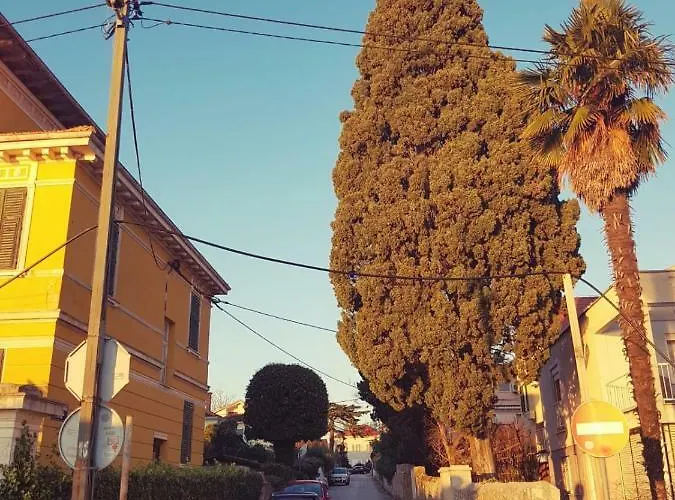 Siega Гостевой дом